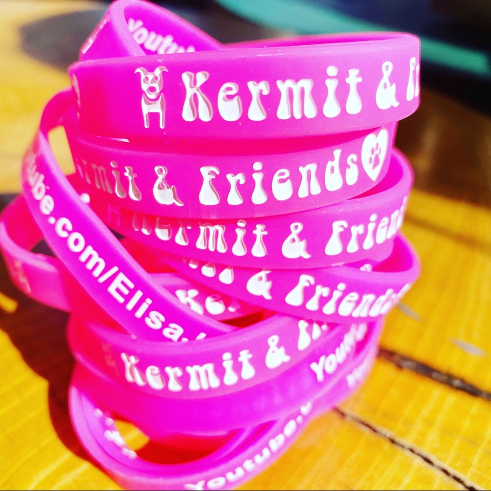 Kermit And Friends Bracelets